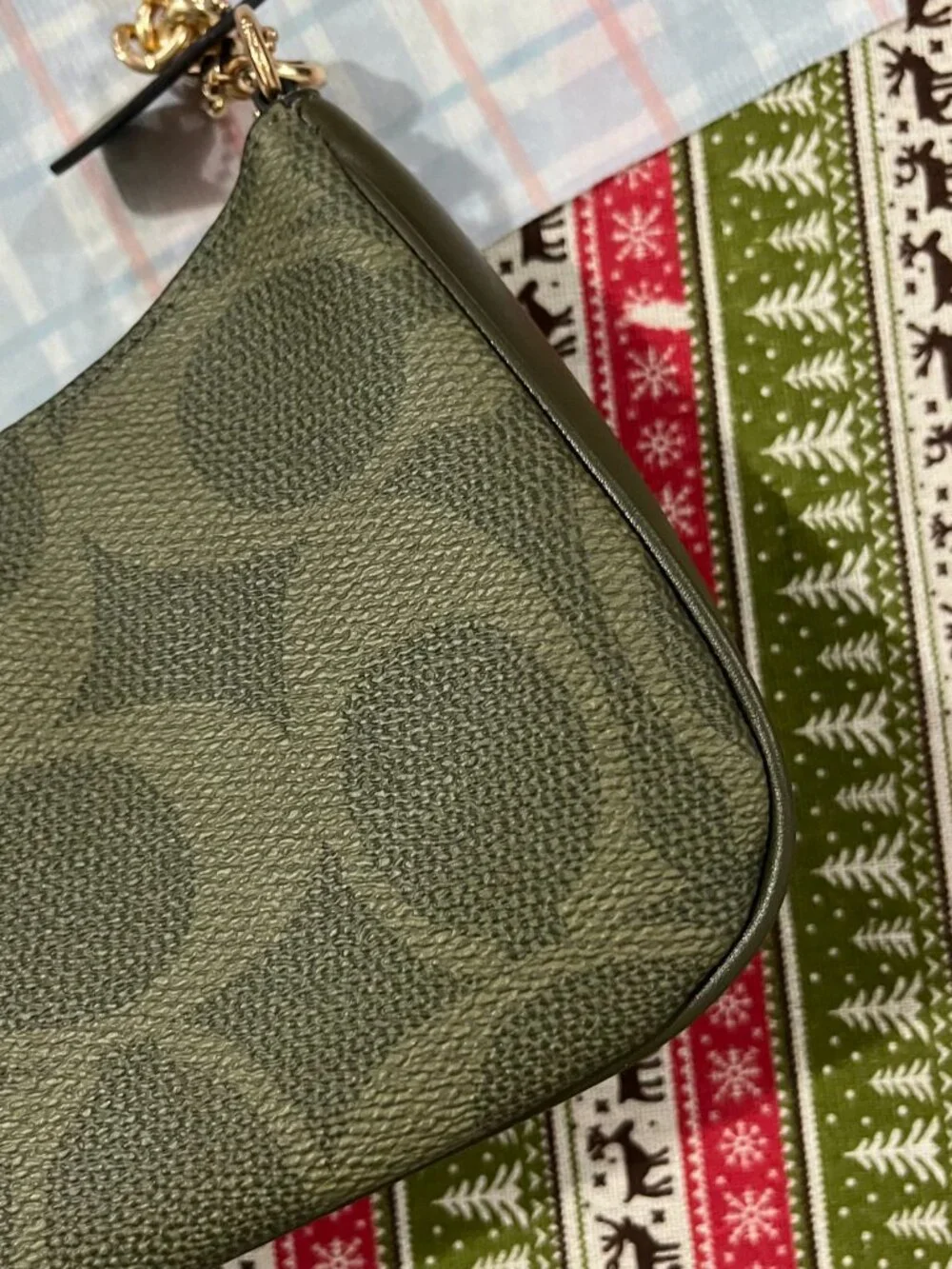 Coach Teri Shoulder Bag